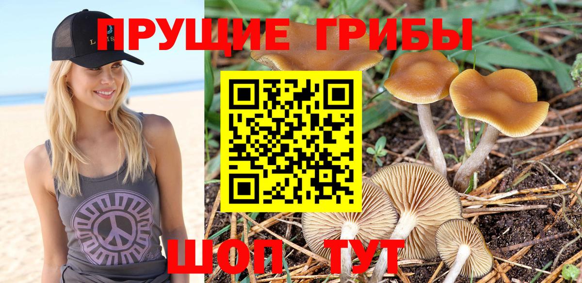 купить закладку  Галлюциногенные грибы мухоморы  Вход с VPN  Новоуральск 